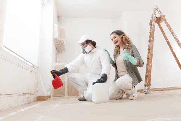 Best Dehumidification Services  in Morris Plains, NJ