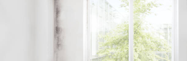 Best Residential Mold Inspection & Testing  in Morris Plains, NJ